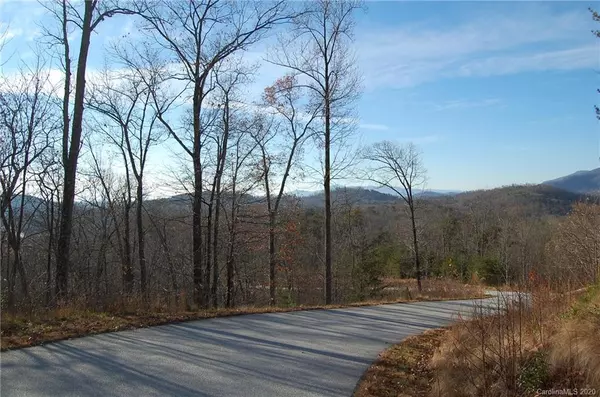 Lake Lure, NC 28746,LOT 41 Matho TRCE