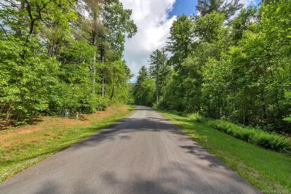 Brevard, NC 29439,Lot 48 Mountain Brook TRL #48