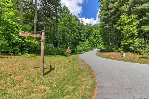 Brevard, NC 29439,Lot 48 Mountain Brook TRL #48