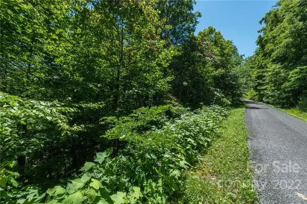 9 Wood Haven LN #108, Black Mountain, NC 28711