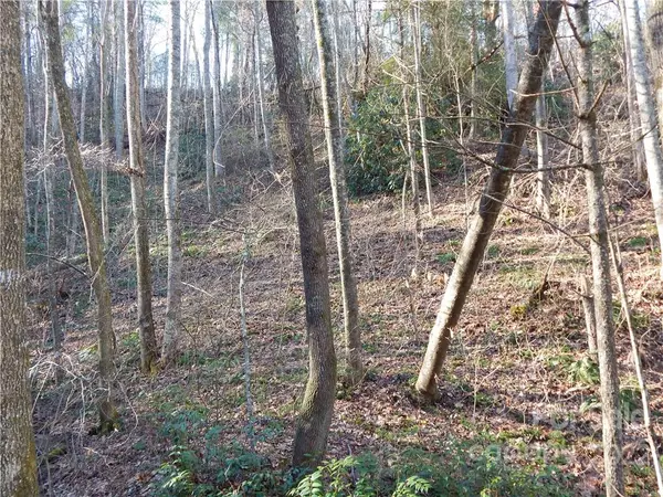 Fletcher, NC 28732,00 Hilltop View DR #Lot 11