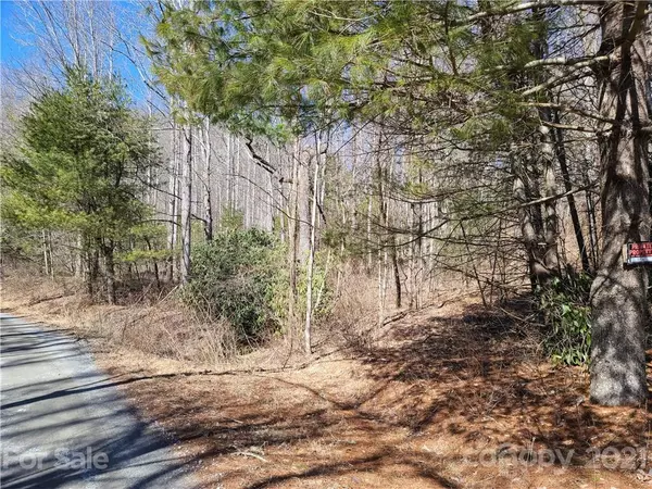 Hendersonville, NC 28711,Lot 4 Mountain Cove RD #4