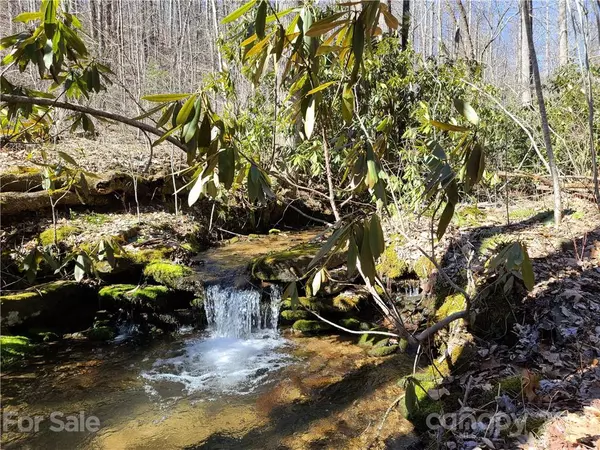 Hendersonville, NC 28711,Lot 4 Mountain Cove RD #4