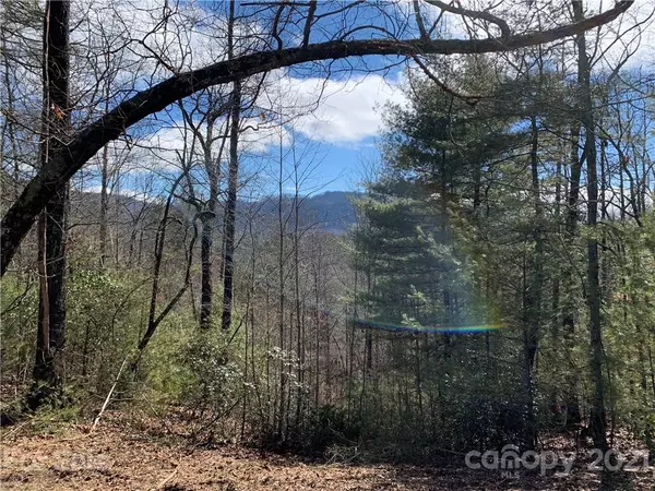 Hendersonville, NC 28792,415 Falling Leaves LN