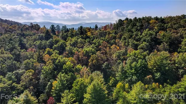 Fairview, NC 28730,2067 Emmas Grove RD