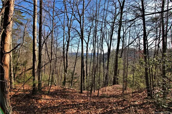 Ferguson, NC 28624,30 Acres Elk Creek Darby RD