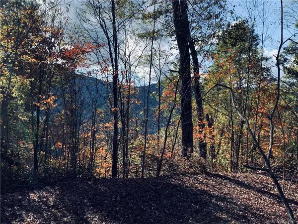 Whittier, NC 28789,Lot 31 Treyburn Oaks DR #Lot 31