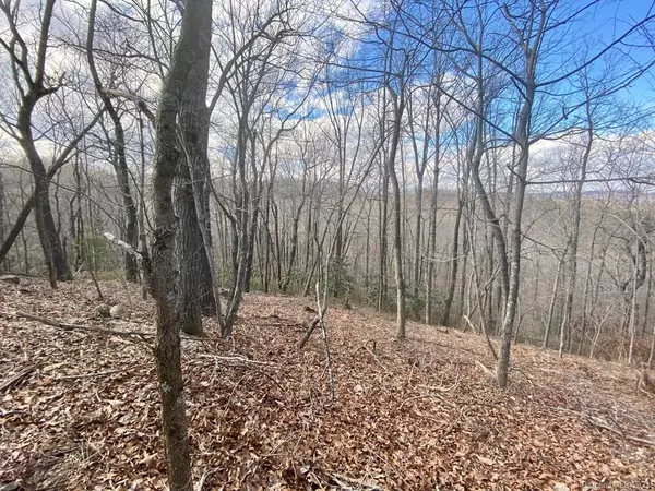 Saluda, NC 28773,LOT 44 Table Rock RD