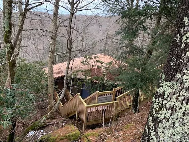 Beech Mountain, NC 28064,219 Charter Hills RD