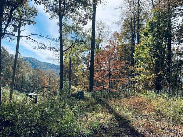 Bryson City, NC 28713,Lot 3 Laurel Springs DR #3