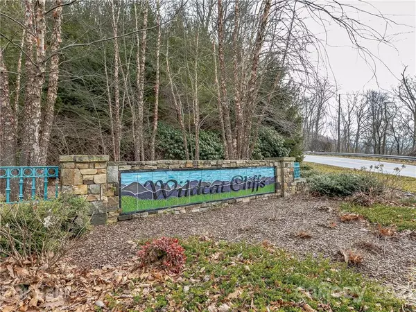 Asheville, NC 28804,67 Mt Meadows BLVD #26