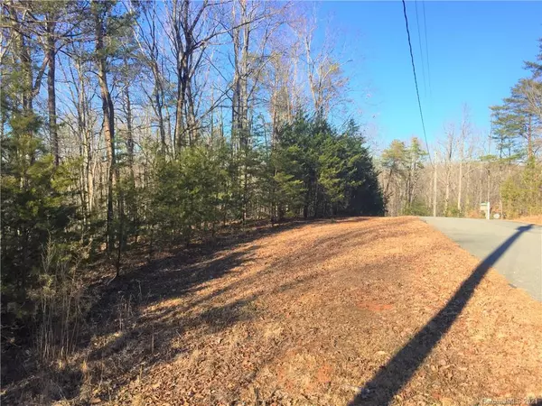 Rutherfordton, NC 28139,Lot# 75 River Ridge Pkwy