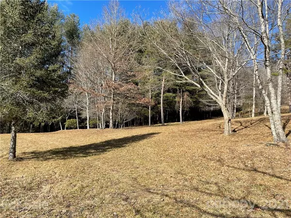 Balsam Grove, NC 28708,TBD Tanasee Gap RD #4