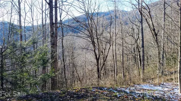Maggie Valley, NC 28751,13 Ironwood LN