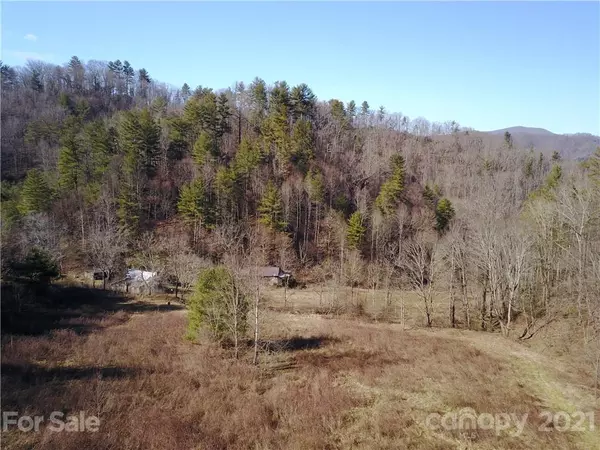 Hot Springs, NC 28743,633 Millar RD