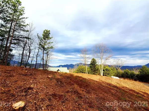 Lake Lure, NC 28746,0 Boulder Ridge RD #Lot 63