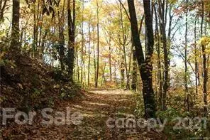 Sylva, NC 28779,LOT 41, 252 Watershed WAY #41