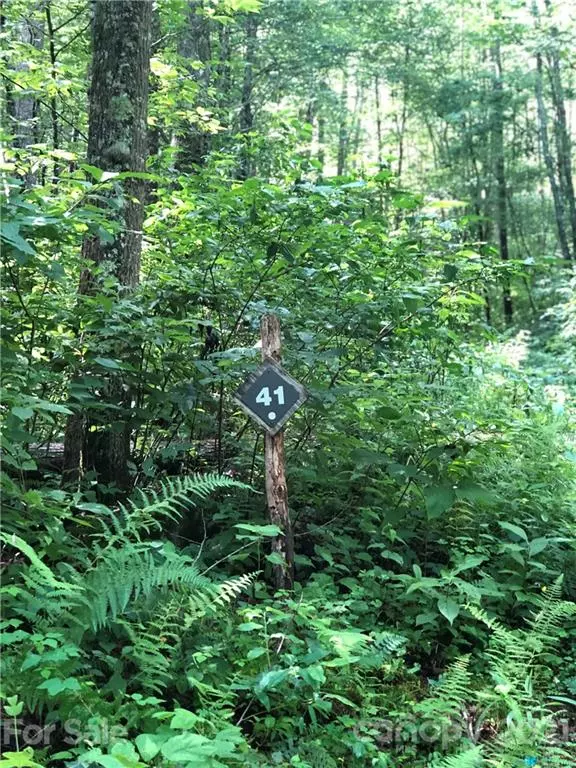 Sylva, NC 28779,LOT 41, 252 Watershed WAY #41