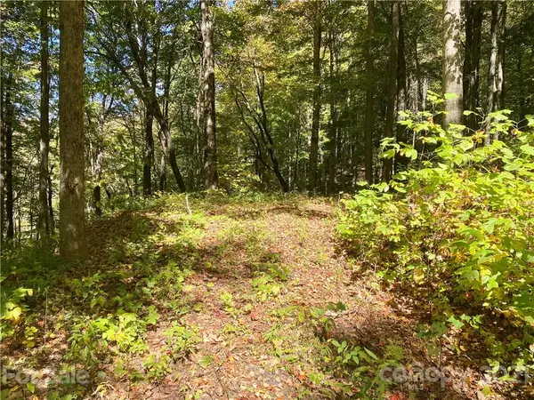 Bakersville, NC 28705,50 Bens BND #50