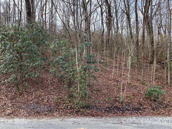 Lot #615 & 616 Melrose Mountain RD #615 & 616, Tryon, NC 28782