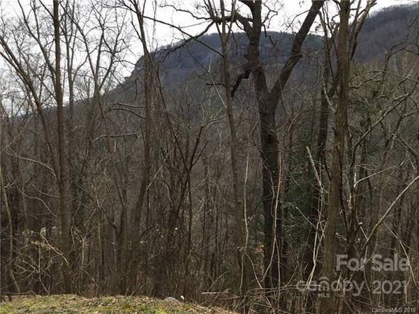 0 Cascada Vista DR #3, Chimney Rock, NC 28720