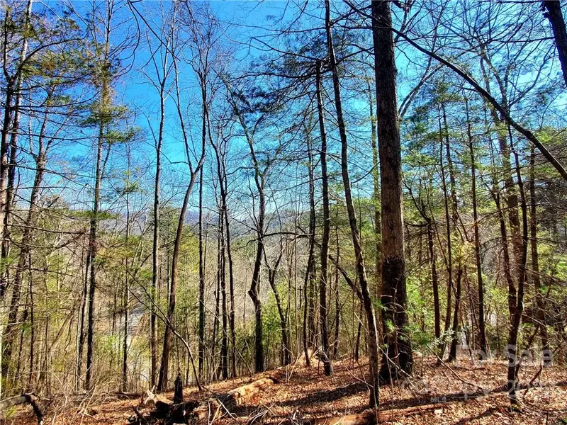 Lot 5 Big Hungry RD, Flat Rock, NC 28731