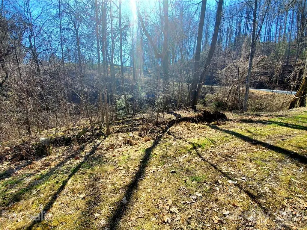 Flat Rock, NC 28731,0 Big Hungry RD #Lot 8