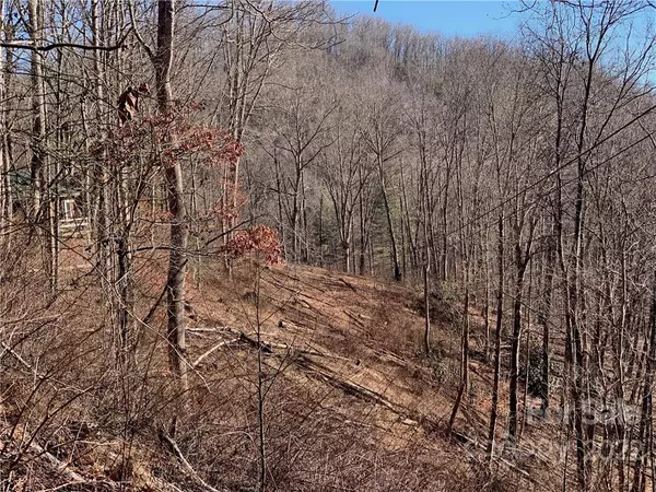 Sylva, NC 28779,000 Parris Branch RD