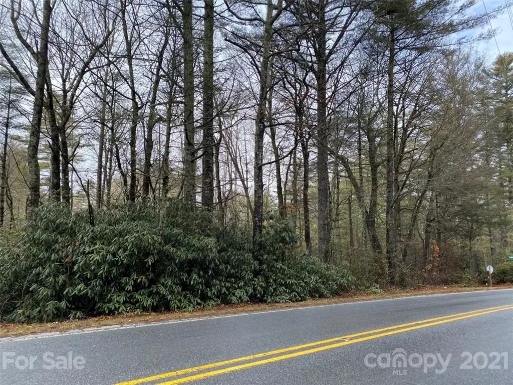 Sapphire, NC 28774,000 Bearwallow DR #L013