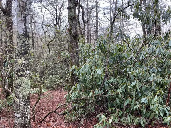 Sapphire, NC 28774,0 Azalea RD #L014