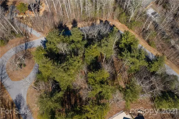 Saluda, NC 28773,Lot 21 Whites Lake BLVD #21