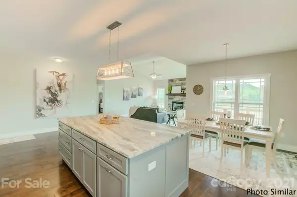 Mills River, NC 28759,231 Hayes Ridge LN #13