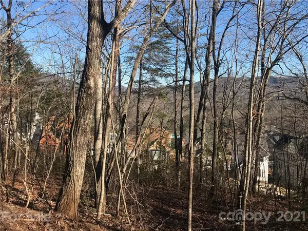 Black Mountain, NC 28711,69 Sussex CT #42