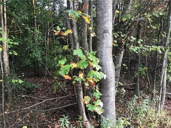 Statesville, NC 28625,0000 Wilkesboro HWY