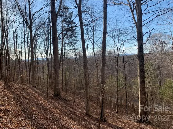 Rutherfordton, NC 28139,0 Creekside CIR