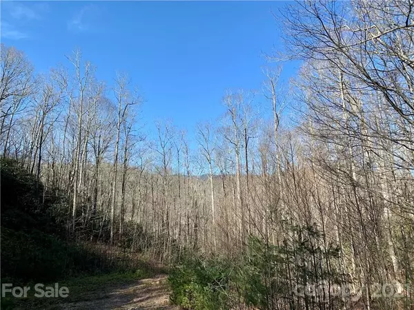 Spruce Pine, NC 28777,00 Golden Trout DR #48