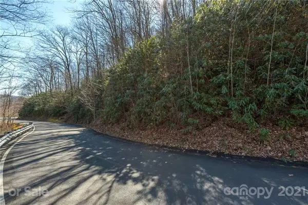 Black Mountain, NC 28711,38 Great Aspen WAY #311