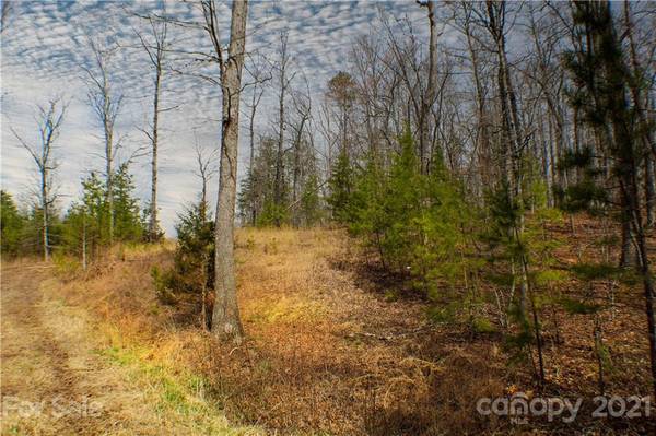 Rutherfordton, NC 28139,0 CC RD