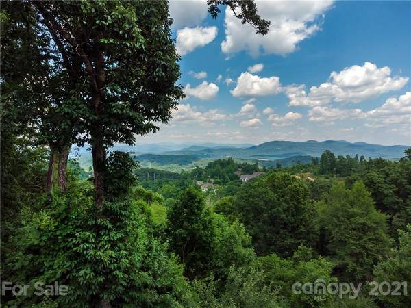 Hendersonville, NC 28791,379 Bay Laurel LN