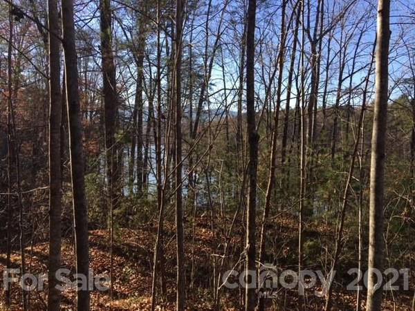 Lot 4 Parkway North None, Mill Spring, NC 28756