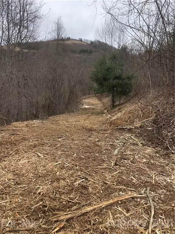 Clyde, NC 28721,00 Turkey Trot RD