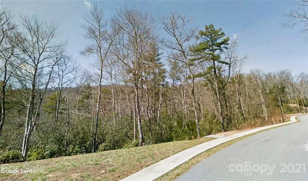 tbd Springhouse TRL #10, Brevard, NC 28712