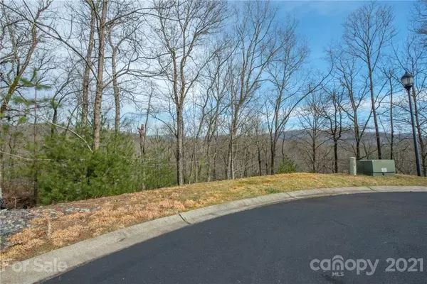 Horse Shoe, NC 28742,100 Buckhead TRL #28