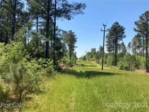 Edgemoor, SC 29712,2.205 AC Harmony Church RD #1