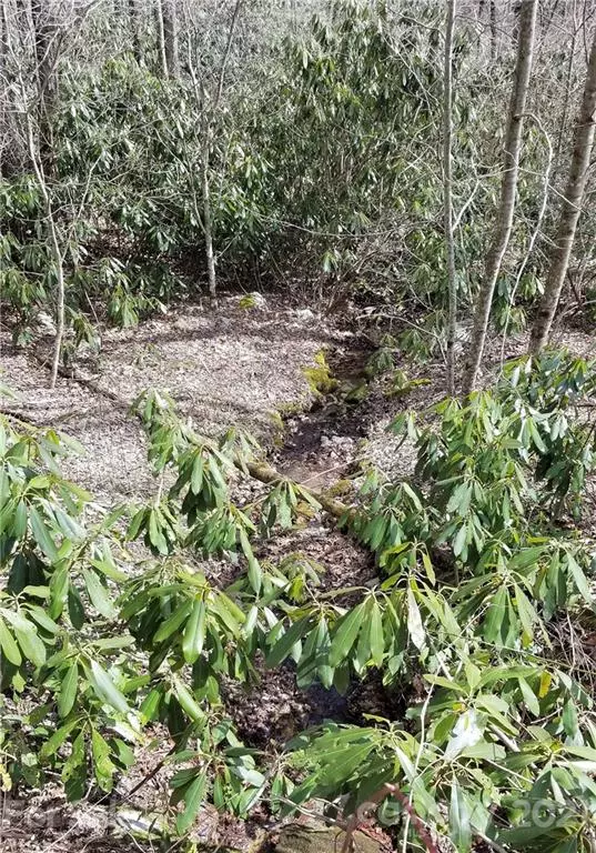 Newland, NC 28657,6219 Sunny DR