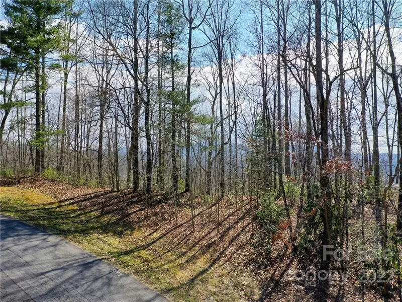 168 Rambling TRL, Hendersonville, NC 28739