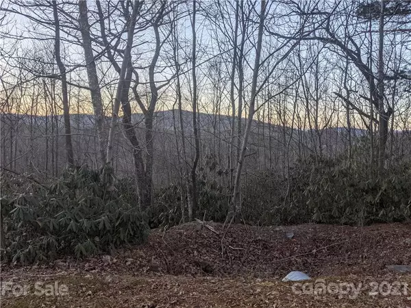 Blowing Rock, NC 28605,Lot 21 Cielo RD