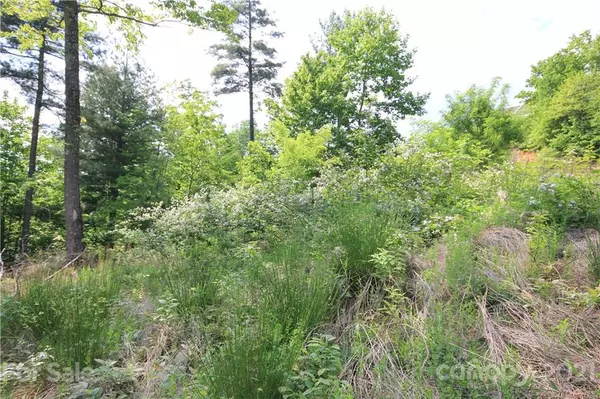 Lenoir, NC 28645,Lot# 528 Roca Vista DR #528