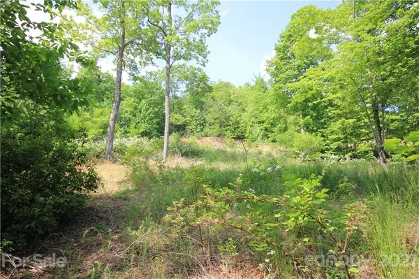 Lenoir, NC 28645,Lot# 528 Roca Vista DR #528