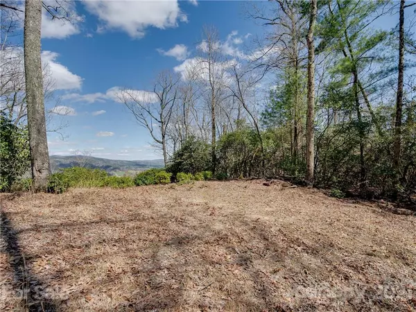 Pisgah Forest, NC 28768,Lot 20 Hawkins Hollow RD